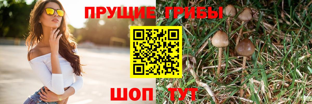 Псилоцибиновые грибы прущие грибы  Вход с VPN  Карпинск 